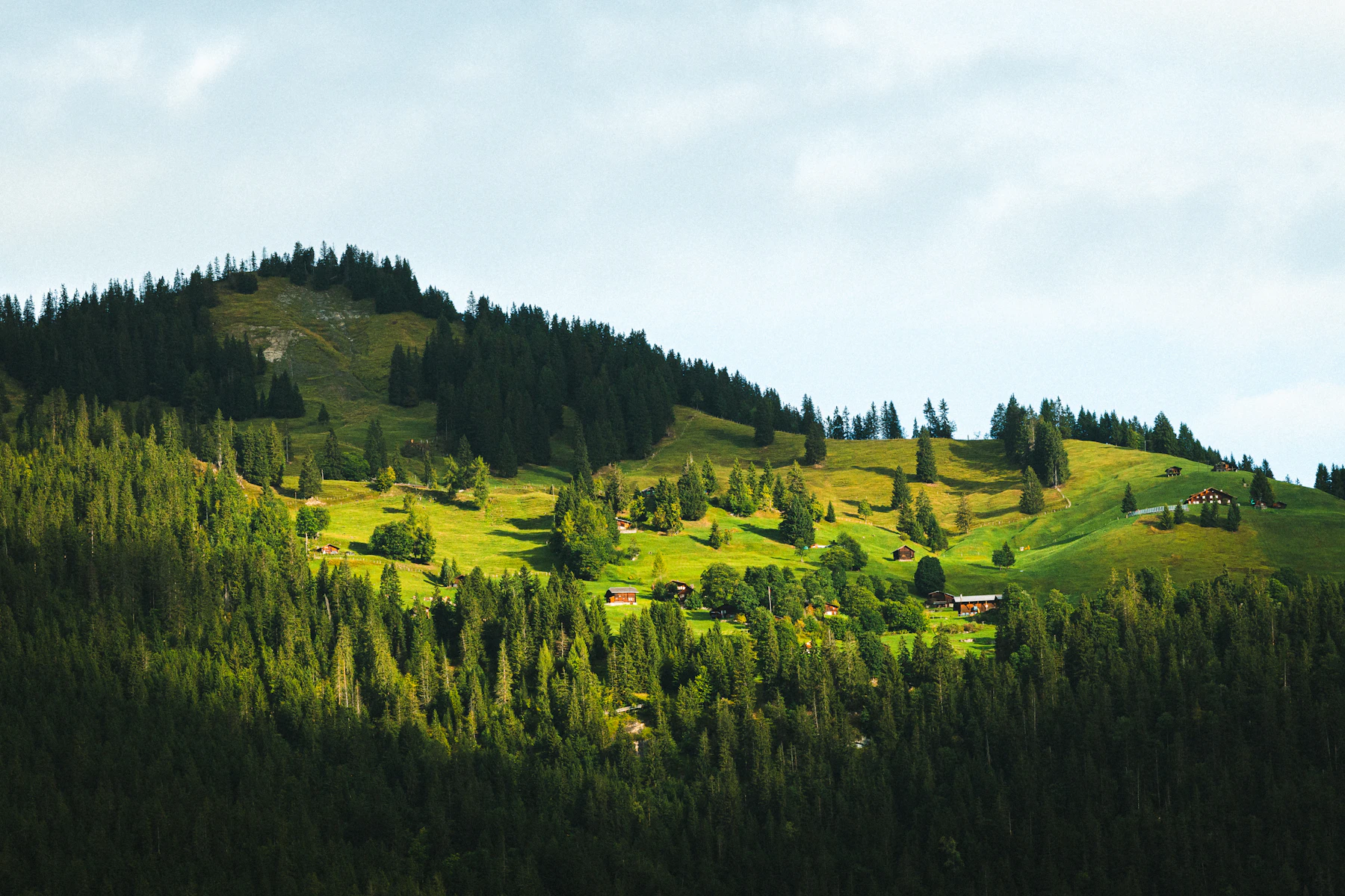 Sunlit green Alpine slopes and chalets near Lauterbrunnen, Switzerland